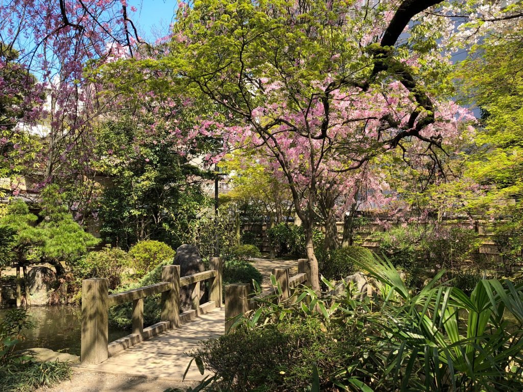 🌳 물을 즐기는 동산(라쿠스이엔) 이미지 3